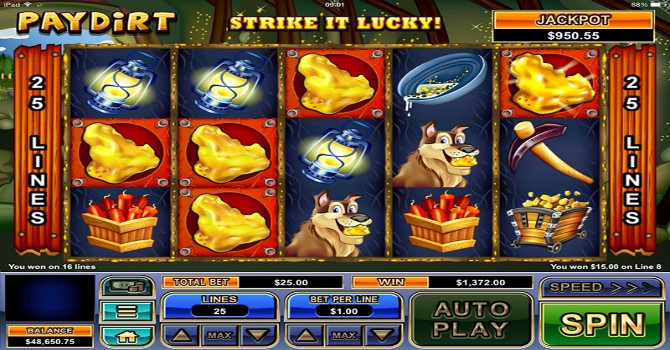 casino's novice win online pokie