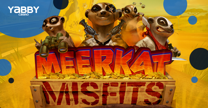 Meerkat Misfits